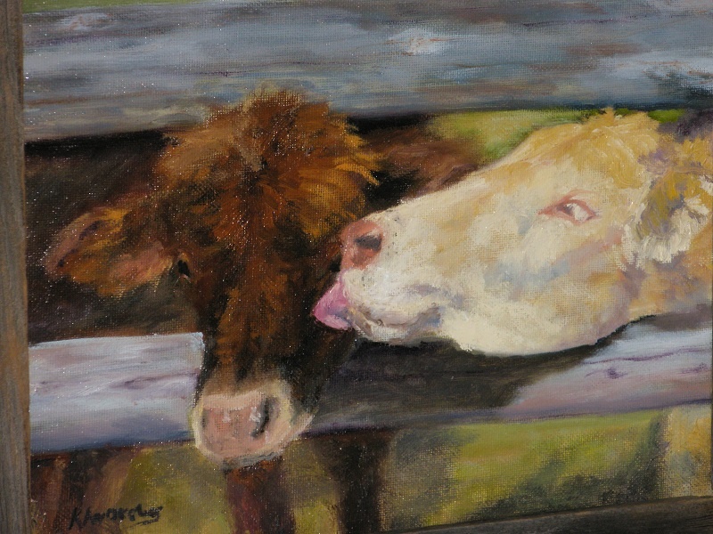two cows looking through fence